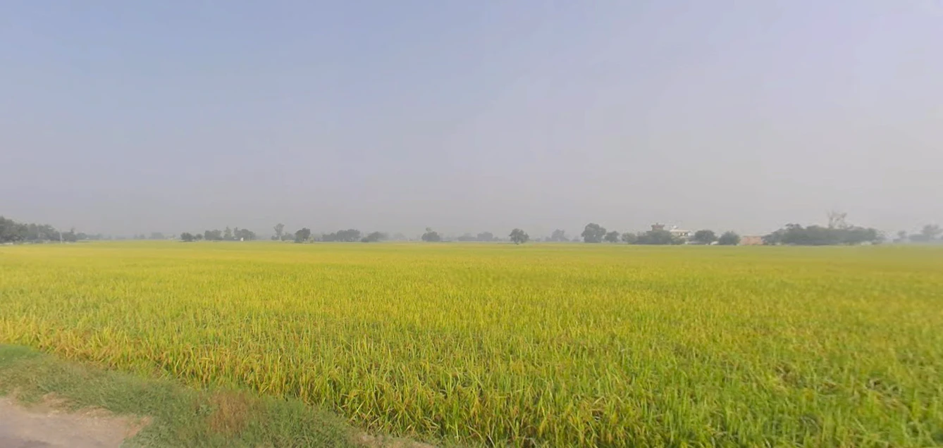 Lehra, Punjab, India