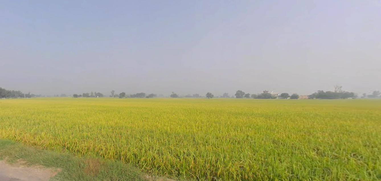 Lehra, Punjab, India