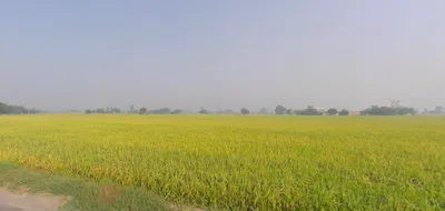 Lehra, Punjab, India preview 2