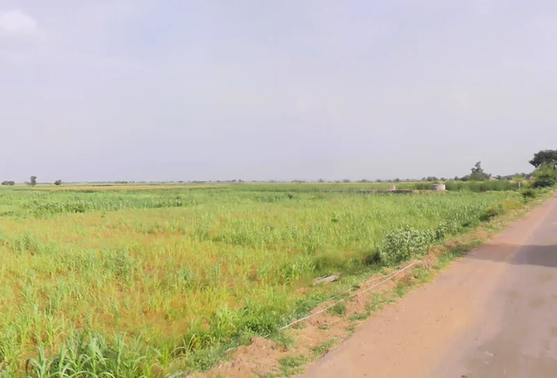 Khori, Haryana 123101, India preview 2