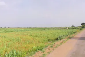 Khori, Haryana 123101, India preview 2