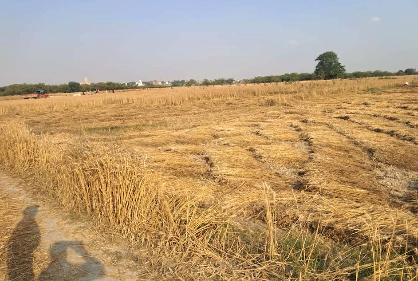 Barnagar, Madhya Pradesh 456771, India