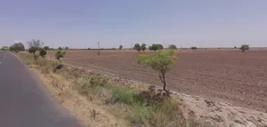 35PM+69 Sachana, Gujarat, India preview 3