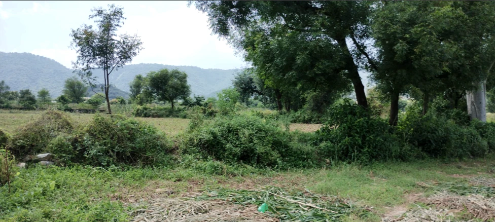 Mohandi, Chhattisgarh 493445, India