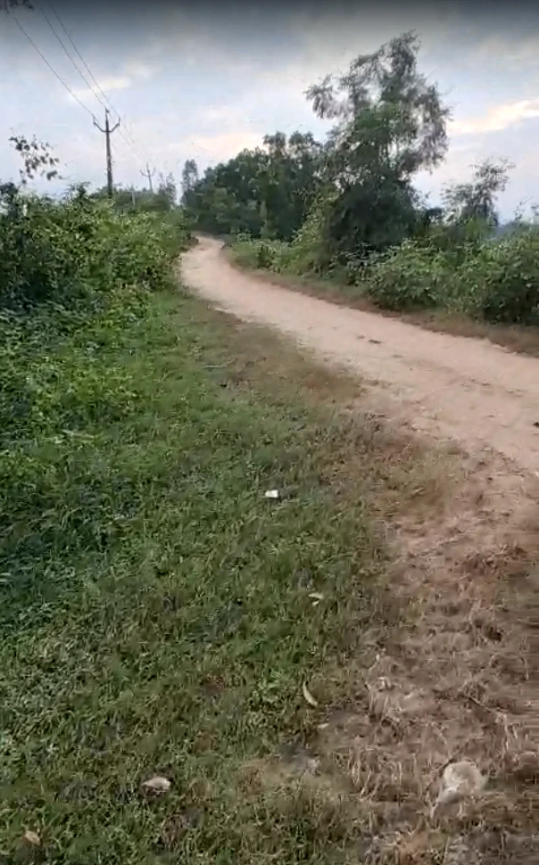 3MMM+GC6, Jhunjhunu, Theecholi, Thicholi, Rajasthan 333028, India - Photo 3