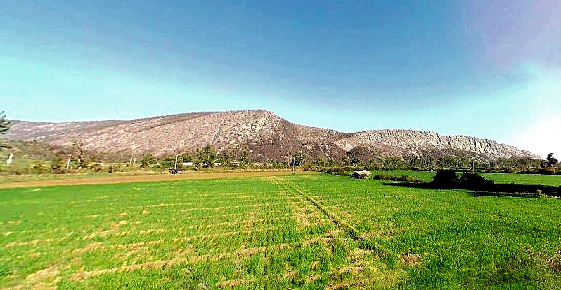 VPO, HJHV+8G2, TEH, Ranjeet Nagar, Daudpur, Tulera, Alwar, Rajasthan 301001, India