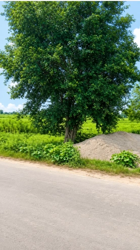 PPCR+28R, Mathura, Nagla Birbala, Uttar Pradesh 281202, India