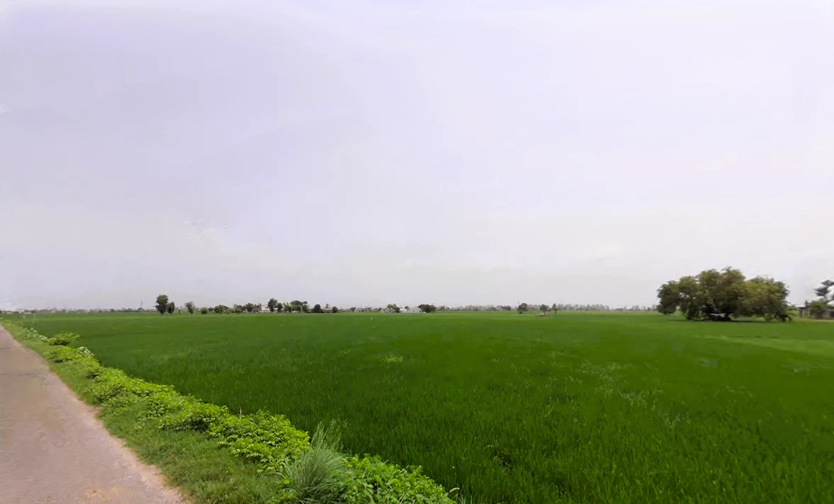 Nissing, Haryana 132024, India