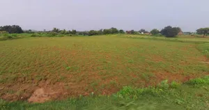 Sector 97, Noida, Uttar Pradesh 201304, India preview 2