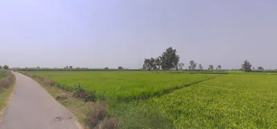 Hasanpur, Uttar Pradesh 244241, India preview 2