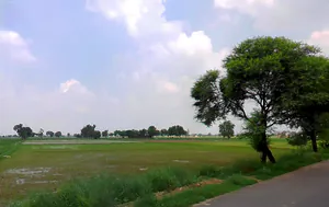 Barwala, Haryana 125121, India preview 2