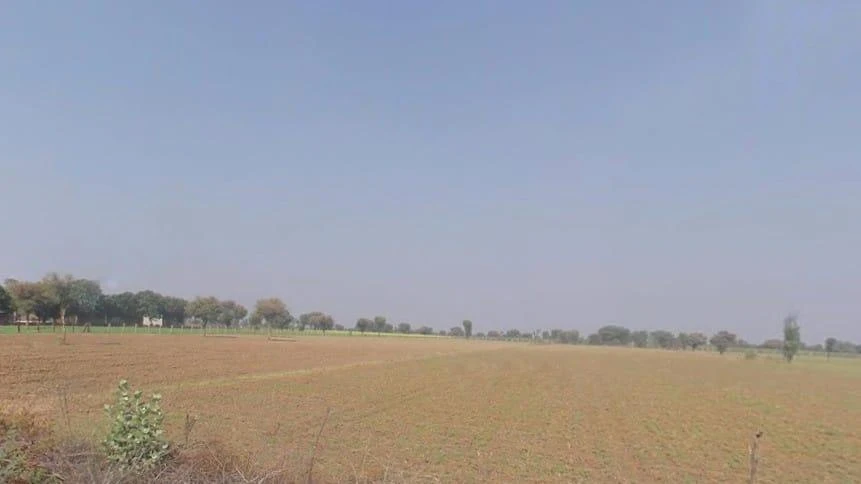 Desuri, Rajasthan 306703, India