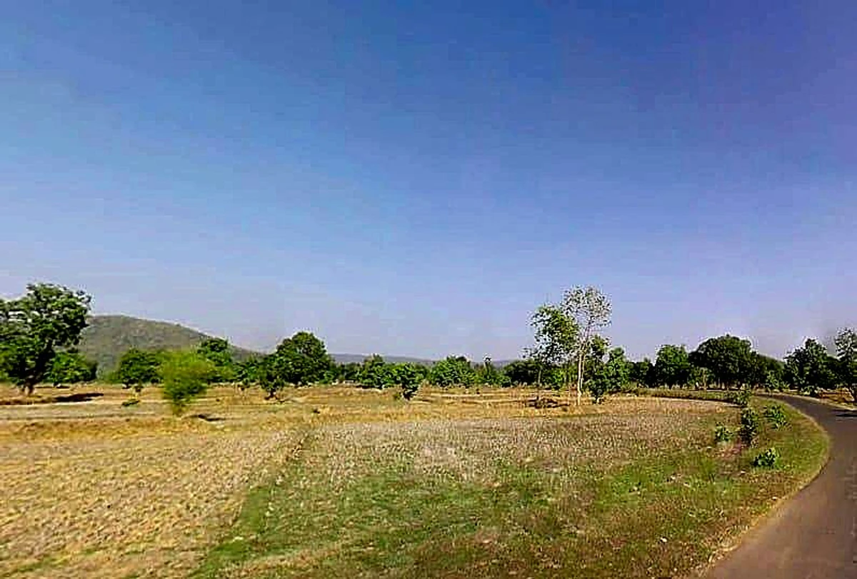 Tekri, Madhya Pradesh 481222, India