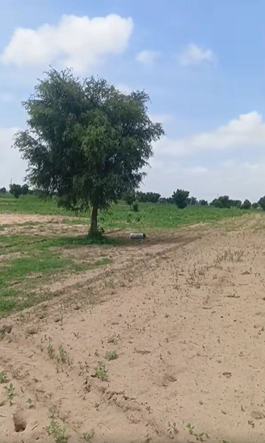 PPFQ+PFV, Mathura, Tentigaon, Uttar Pradesh 281202, India preview 3