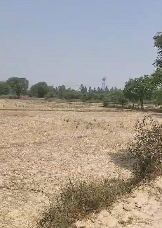 FC36+45F, Bhaktisiddhanta Saraswati Marg, Bamanpukur, West Bengal 741313, India
