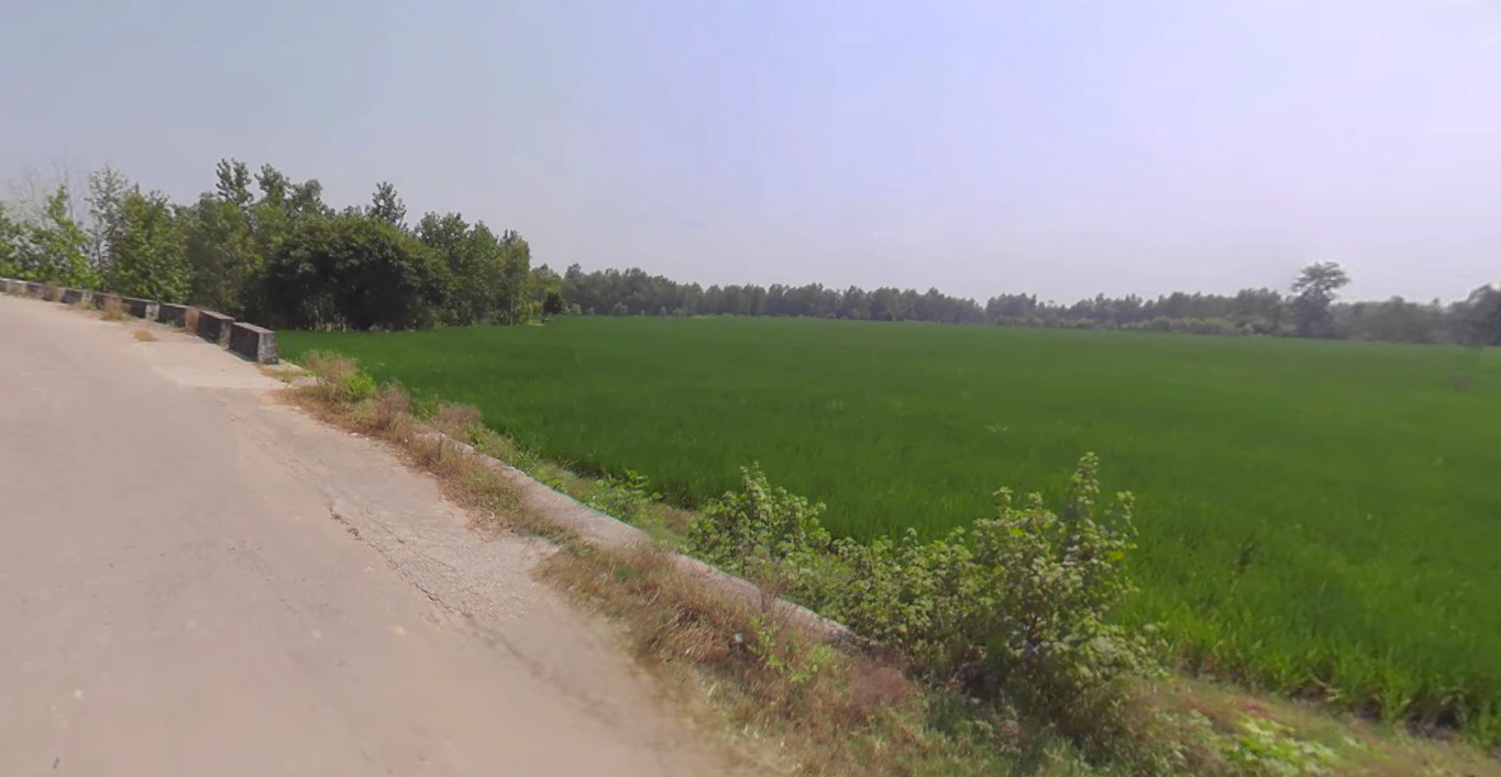 Dhampur, Uttar Pradesh 246761, India