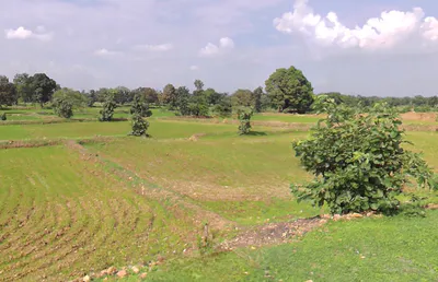 Jewara, Chhattisgarh 491335, India preview 3