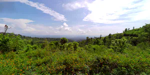Devprayag, Uttarakhand, India preview 3
