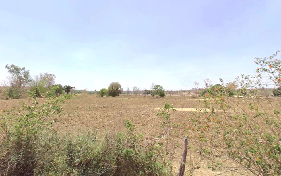 Ichhawar, Madhya Pradesh 466115, India