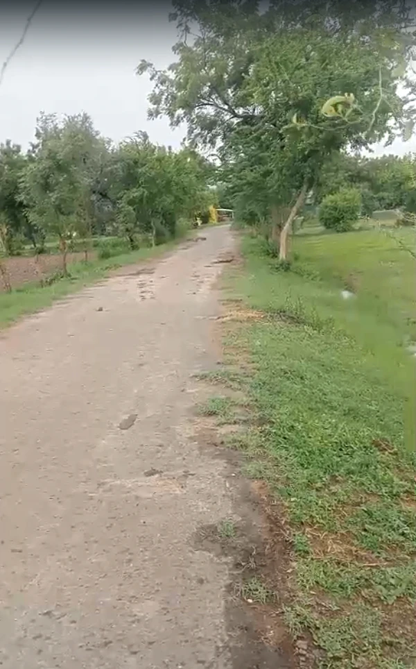MP7F+6W Maliyataj, Kheda, Gujarat, India