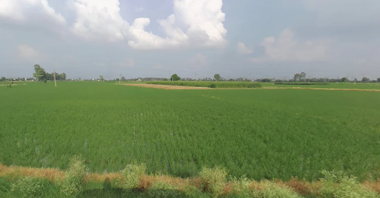 Rupnagar, Punjab, India preview 3