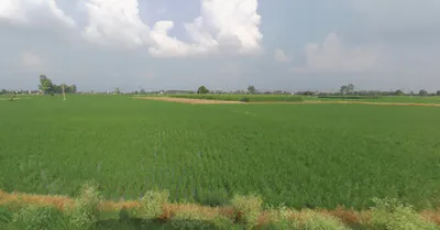 Rupnagar, Punjab, India preview 3