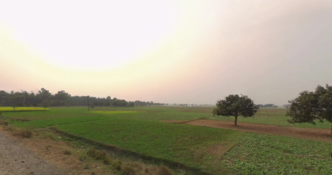 JGF4+QJW, Reekjoyoni, Khamar, West Bengal 700135, India