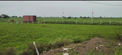 4W6R+9MJ, Arang, Chhattisgarh 493661, India preview 2