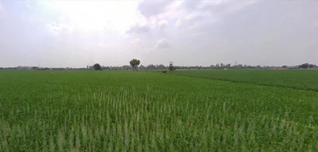 Kutail, Haryana, India