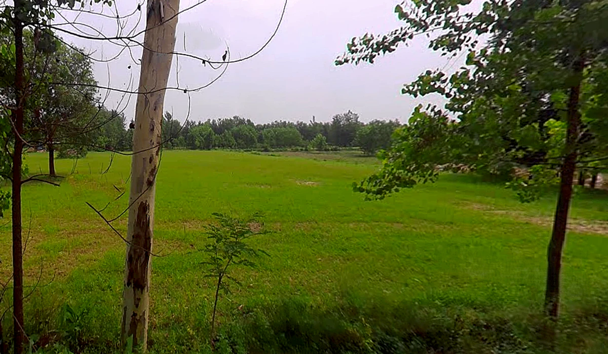 Salampur Gadda, Uttar Pradesh 247001, India