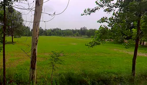 Salampur Gadda, Uttar Pradesh 247001, India preview 2