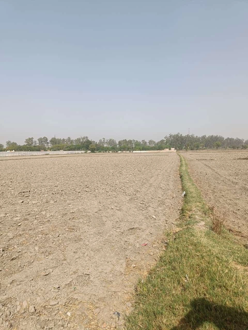 Ajhai Kalan, Uttar Pradesh 281406, India