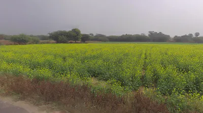Near Meer Bawari, Shiv Chowk, Hospital Road, Dist, Tehsil, Kekri, Rajasthan 305404, India preview 3