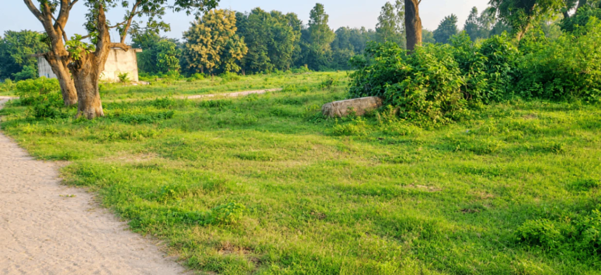 Sidhauli, Sitapur, Uttar Pradesh, India