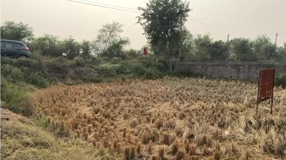 Naubatpur, Bihar 801109, India