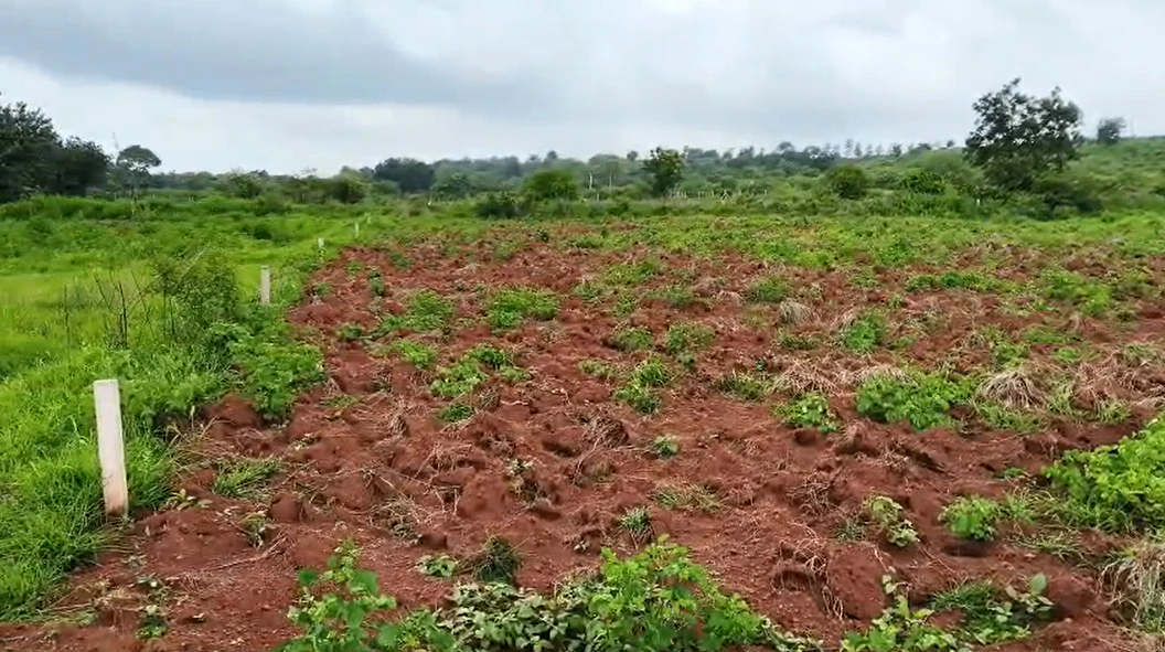 9VJG+5Q, Vikarabad, Kompally, Telangana 501102, India