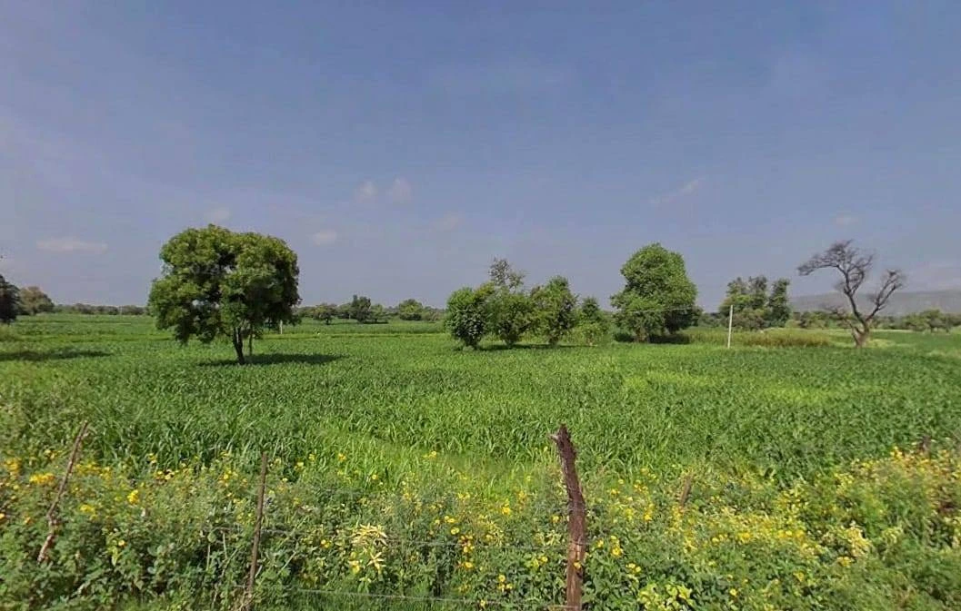 XH5C+JG Ked, Rajasthan, India
