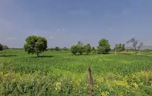 XH5C+JG Ked, Rajasthan, India preview 2