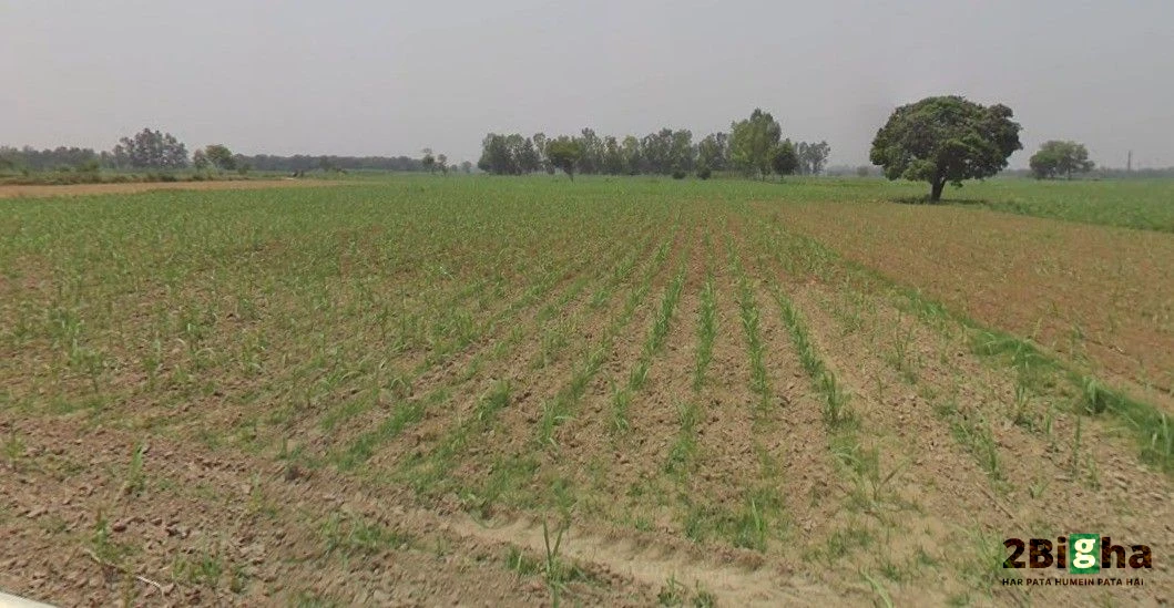 Hastinapur, Uttar Pradesh 250404, India