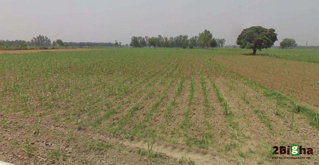 Hastinapur, Uttar Pradesh 250404, India