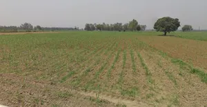 Hastinapur, Uttar Pradesh 250404, India preview 3
