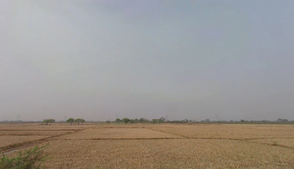 Pachpedi, Chhattisgarh 495551, India