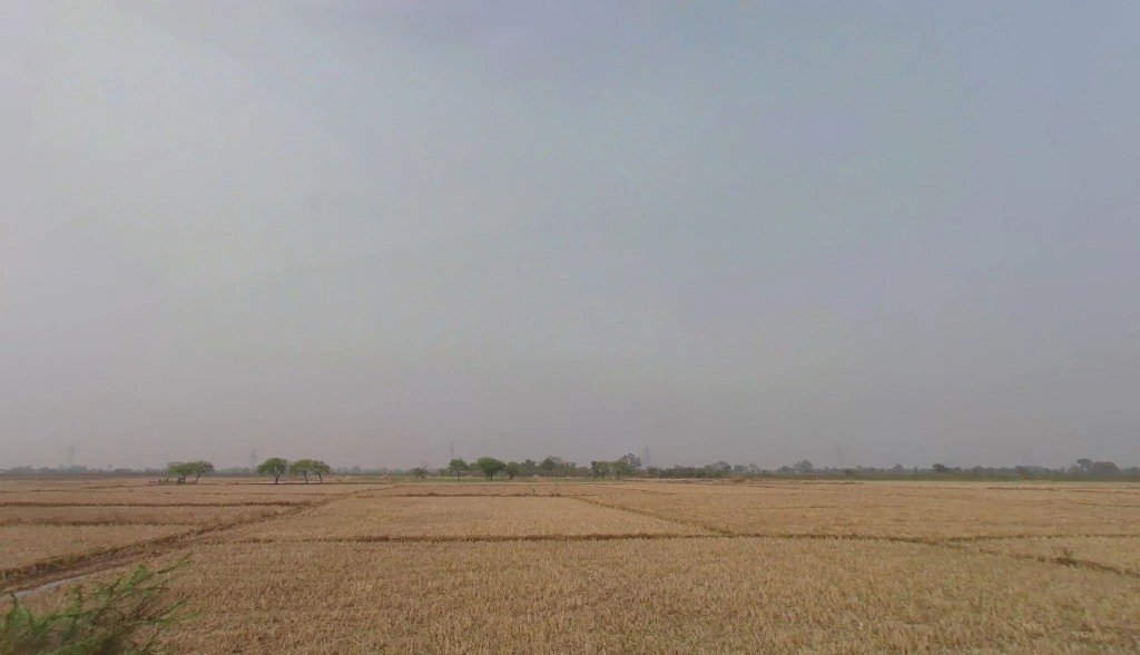 Pachpedi, Chhattisgarh 495551, India