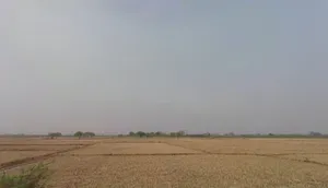 Pachpedi, Chhattisgarh 495551, India preview 3