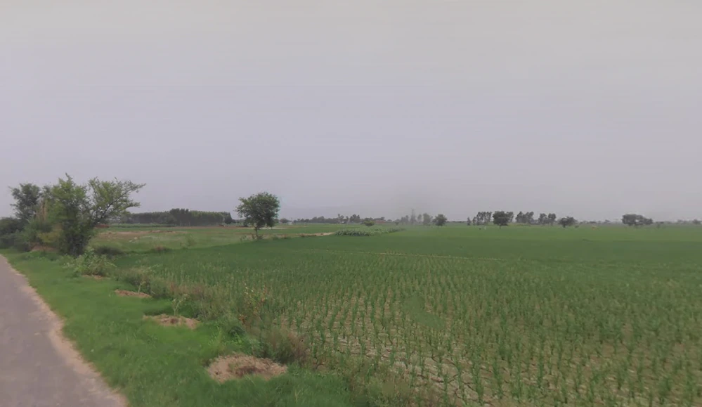 Saman, Haryana 124112, India