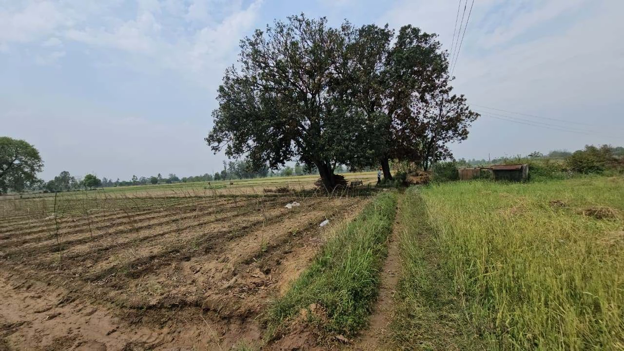 G366+2GQ, Borda Kachhiyan, Rajasthan 323803, India