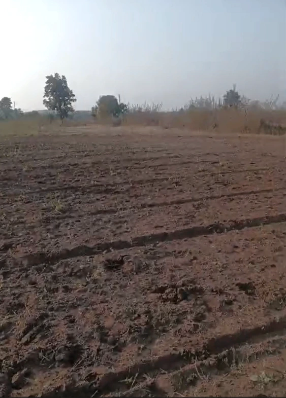 Gatauri, Bilaspur, Chhattisgarh 495009, India