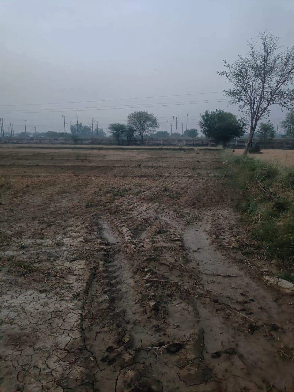 Barhana, Uttar Pradesh, India