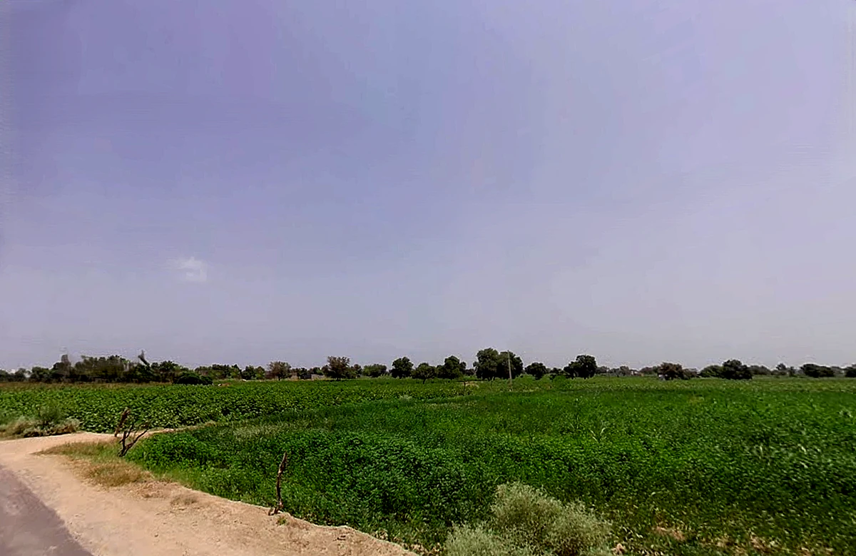 Chhani Badi, Rajasthan 335511, India