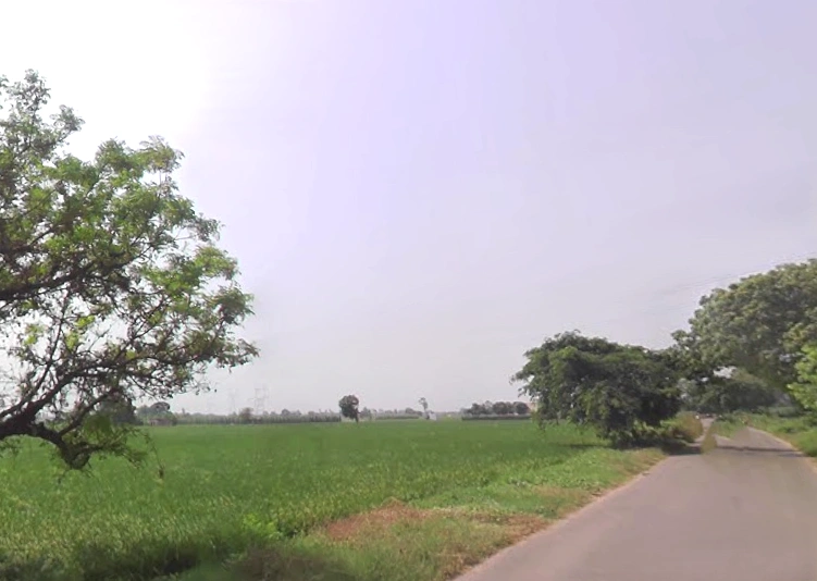 Shikarpur, Uttar Pradesh 203395, India